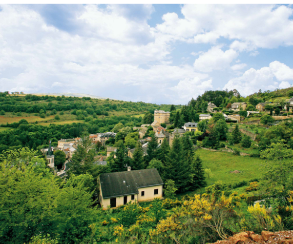 在这里法布尔一边进行观察和实验,一边整理前半生研究