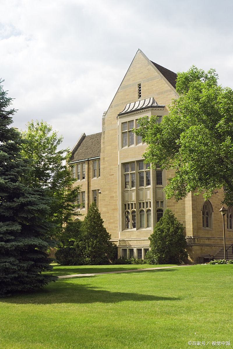 教育优质作者发文挑战赛#