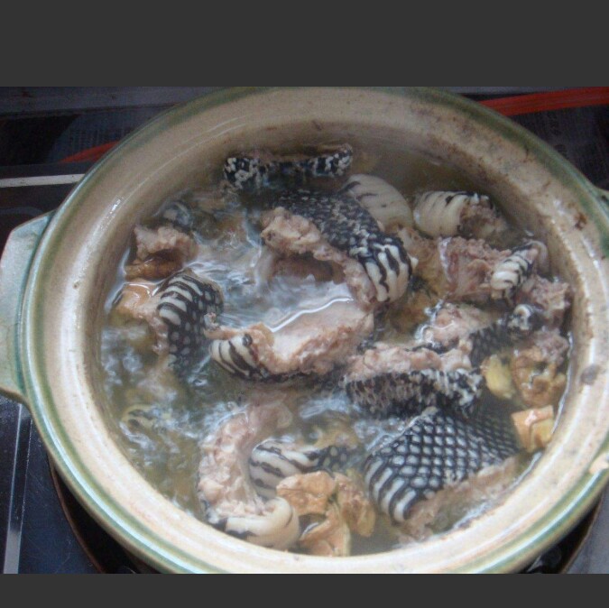 蛇,你们吃过吗?非常的好吃,该怎么做呢?