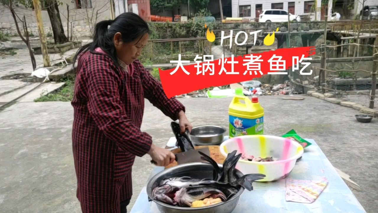 工地项目部买鱼给工人加餐,去看看做饭大姐用简易大锅灶做麻辣鱼