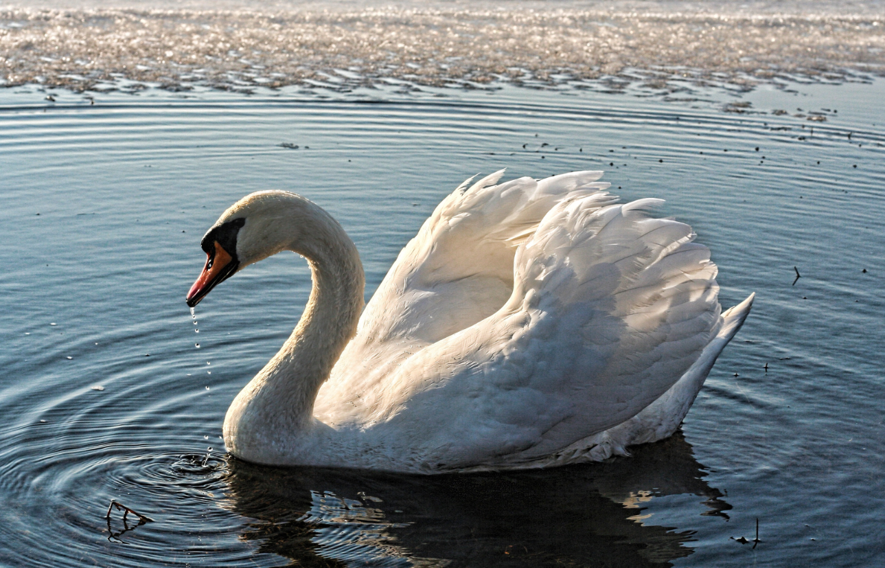 相信这里定然会成为,你旅行时的不二