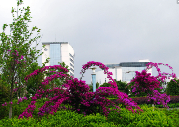 走进官渡森林公园,领略大自然的美景