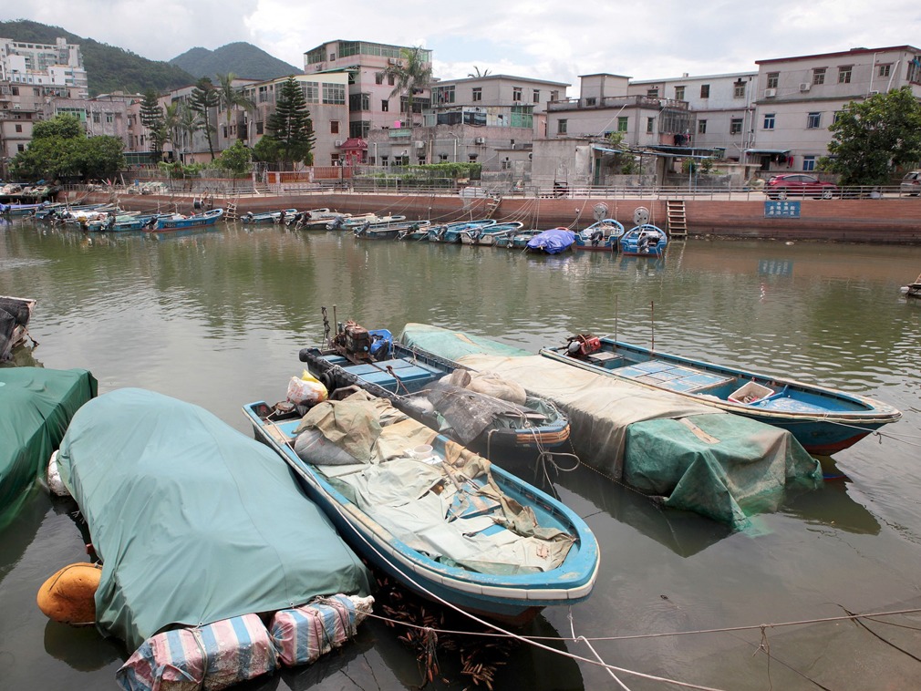 探访中国深圳最后仅存的百年渔村,面临整体拆除,渔民该何去何从