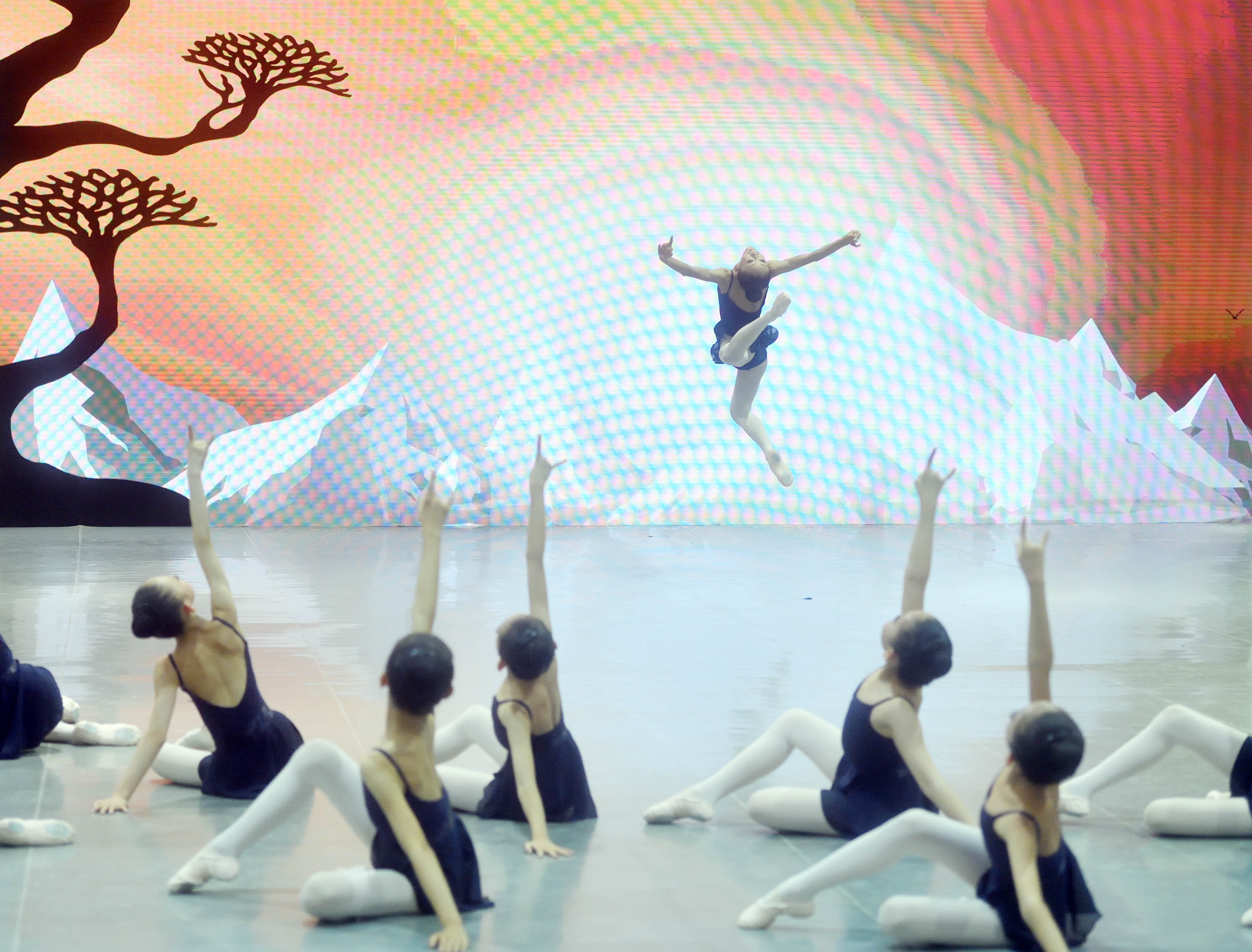 中芭原创舞剧《九色鹿》走进北京劲松四小(4)