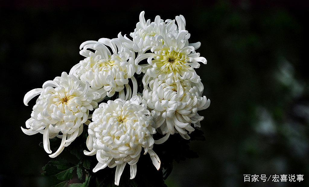 每到这个时候,我们都会想起一些难忘的事情,追忆缅怀那些逝去的亲人