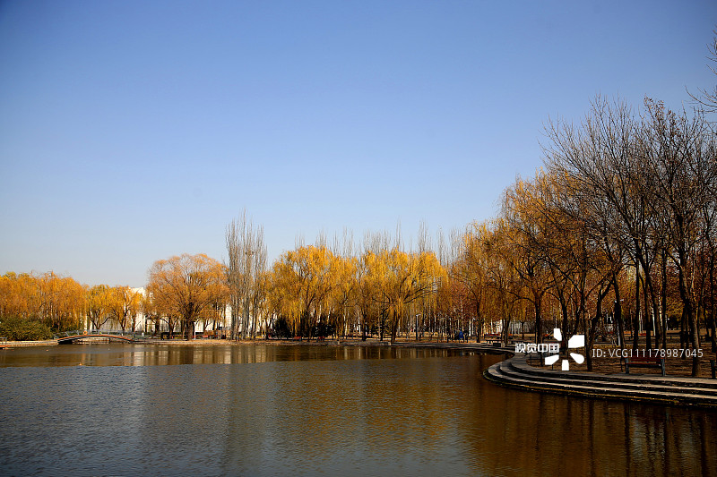 北京海淀公园色彩斑斓,景色怡人,雅致的美感成为冬日里的一道靓丽风景