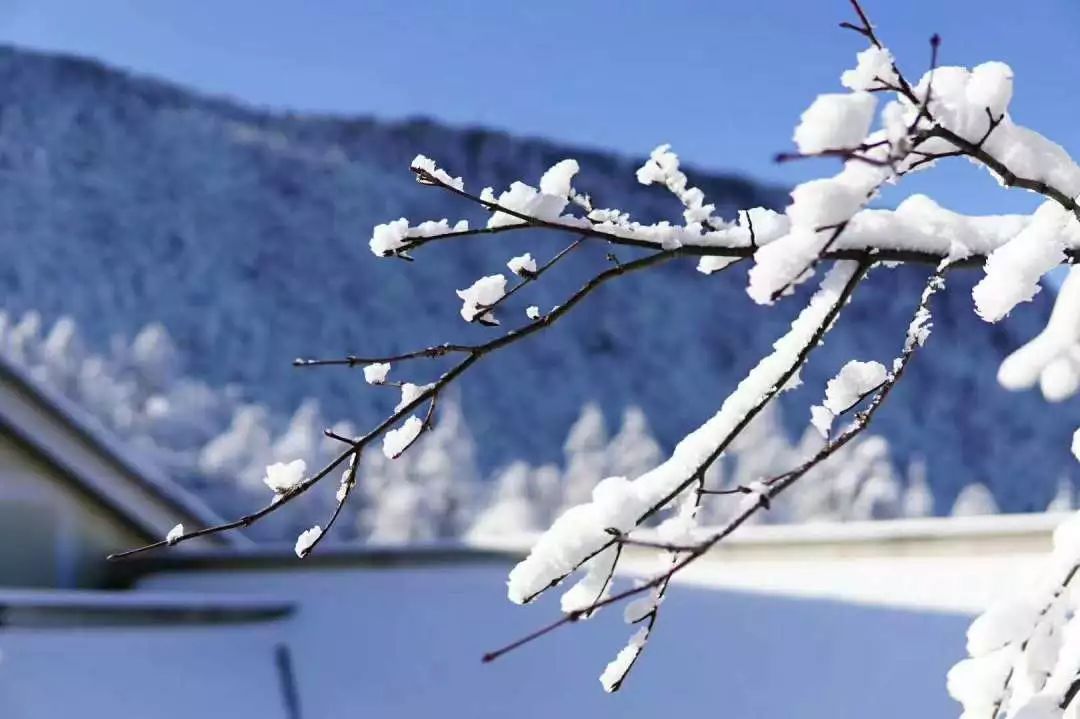 这是场下了两年的大雪,我看到了