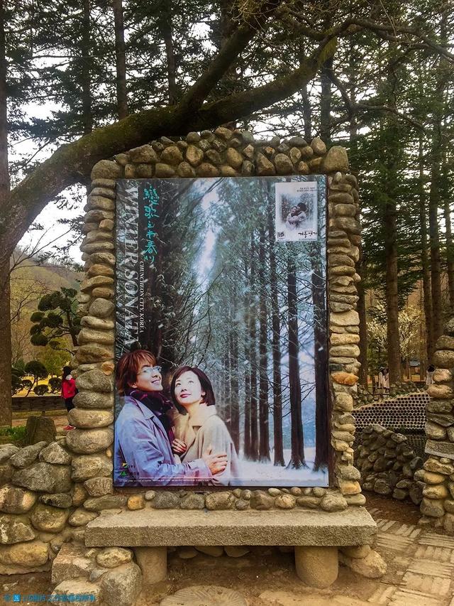 丈量城市:打卡「冬日恋歌」取景地——南怡岛