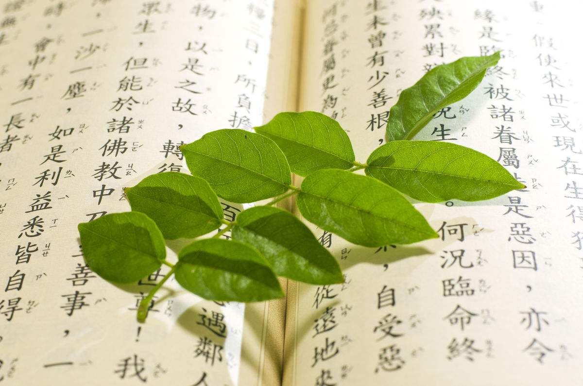 学佛笔记1:怎样读懂佛经