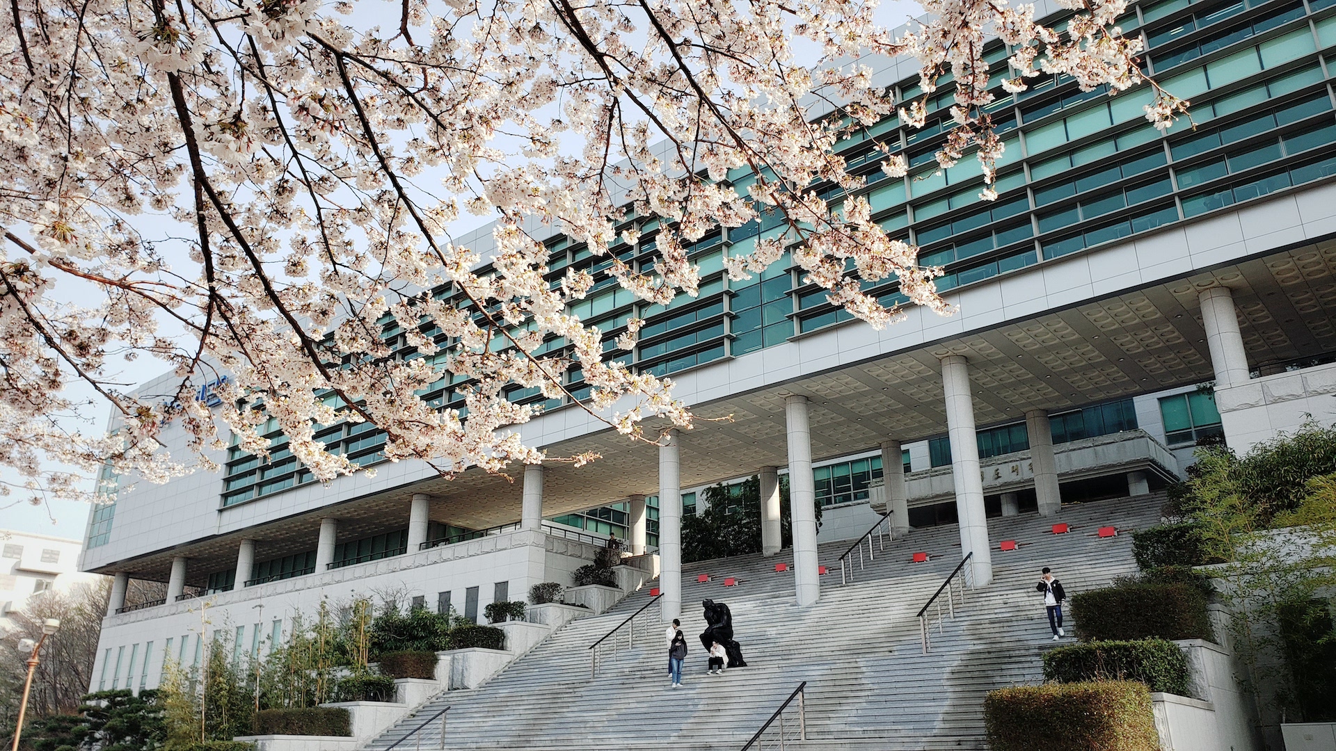 韩国东西大学图片