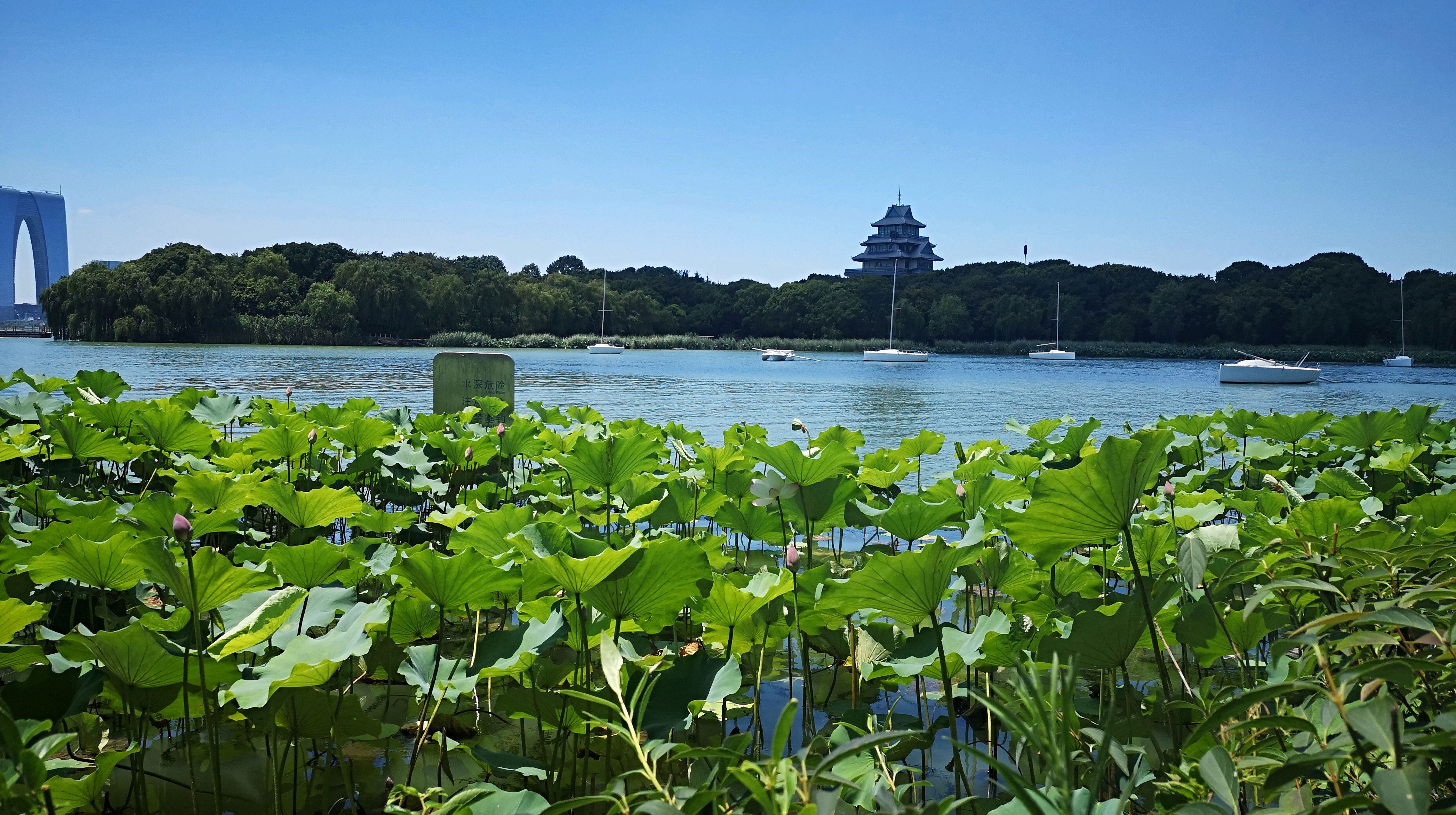 苏州金鸡湖风景区,电视剧《都挺好》的拍摄地