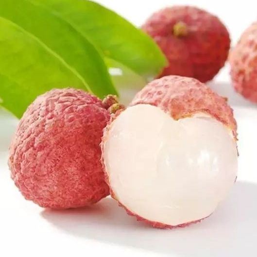 汪汪队立大功第五季:狗狗们发现大脚印,这是什