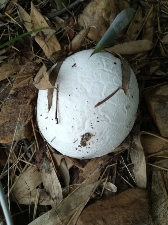 爬山- 热门商品专区