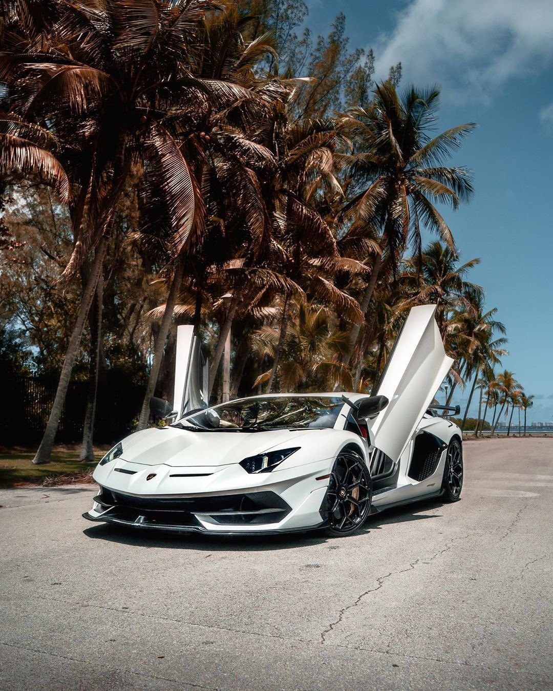 真正的兰博基尼大牛现身,这台纯白svj简直酷到没朋友!