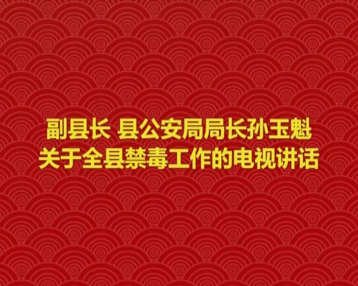 副县长 县公安局局长孙玉魁关于全县禁毒工作的电视讲话