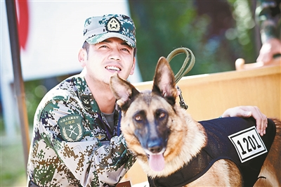 奇兵神犬里面的犬种图片