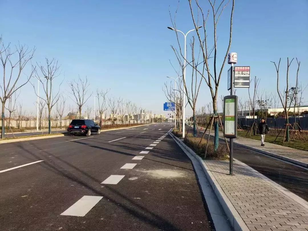 这条接周家嘴路越江隧道的主干路通车啦,去杨浦更方便