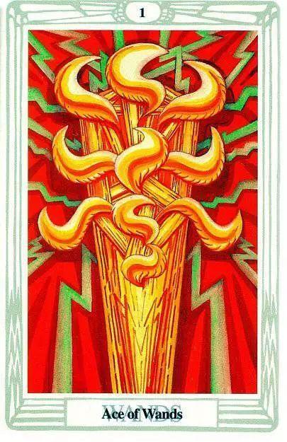 透特塔罗详解——权杖ace