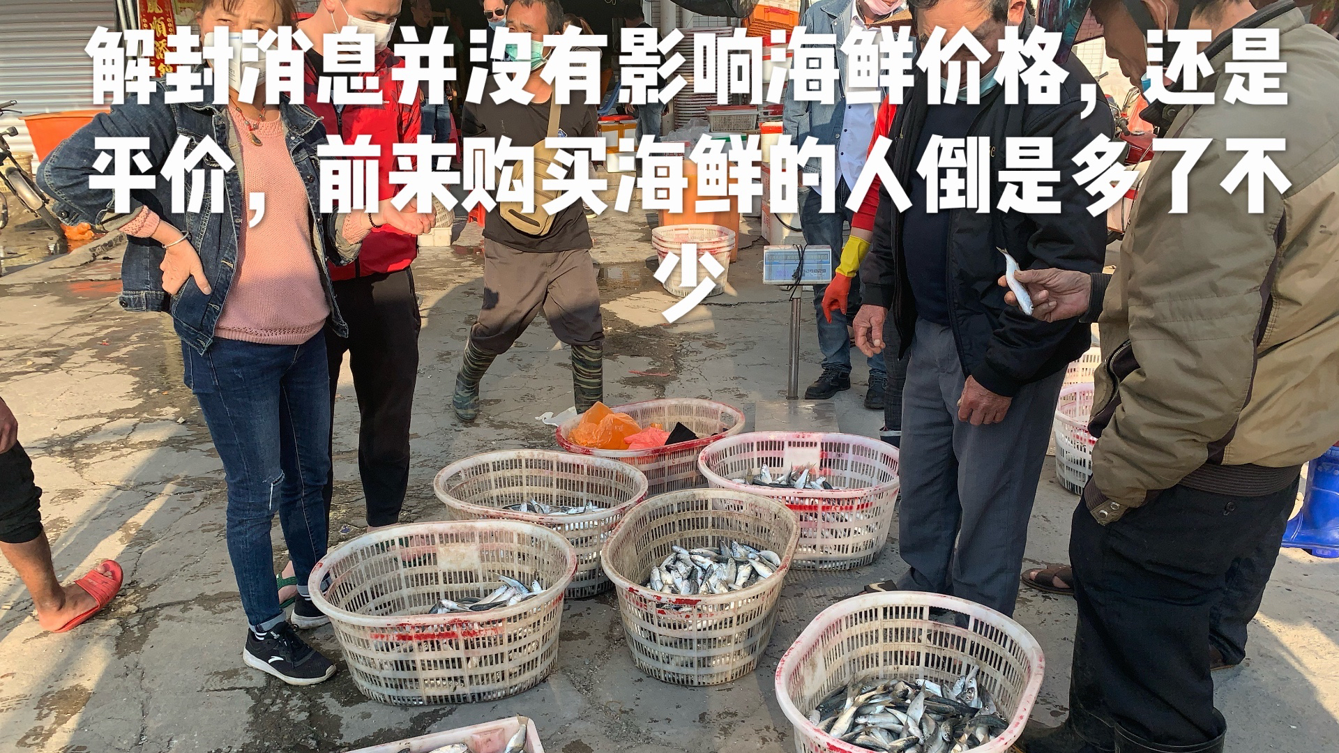 湛江各地农村解封,前来购买海鲜的农民一涌而来,看看什么情况