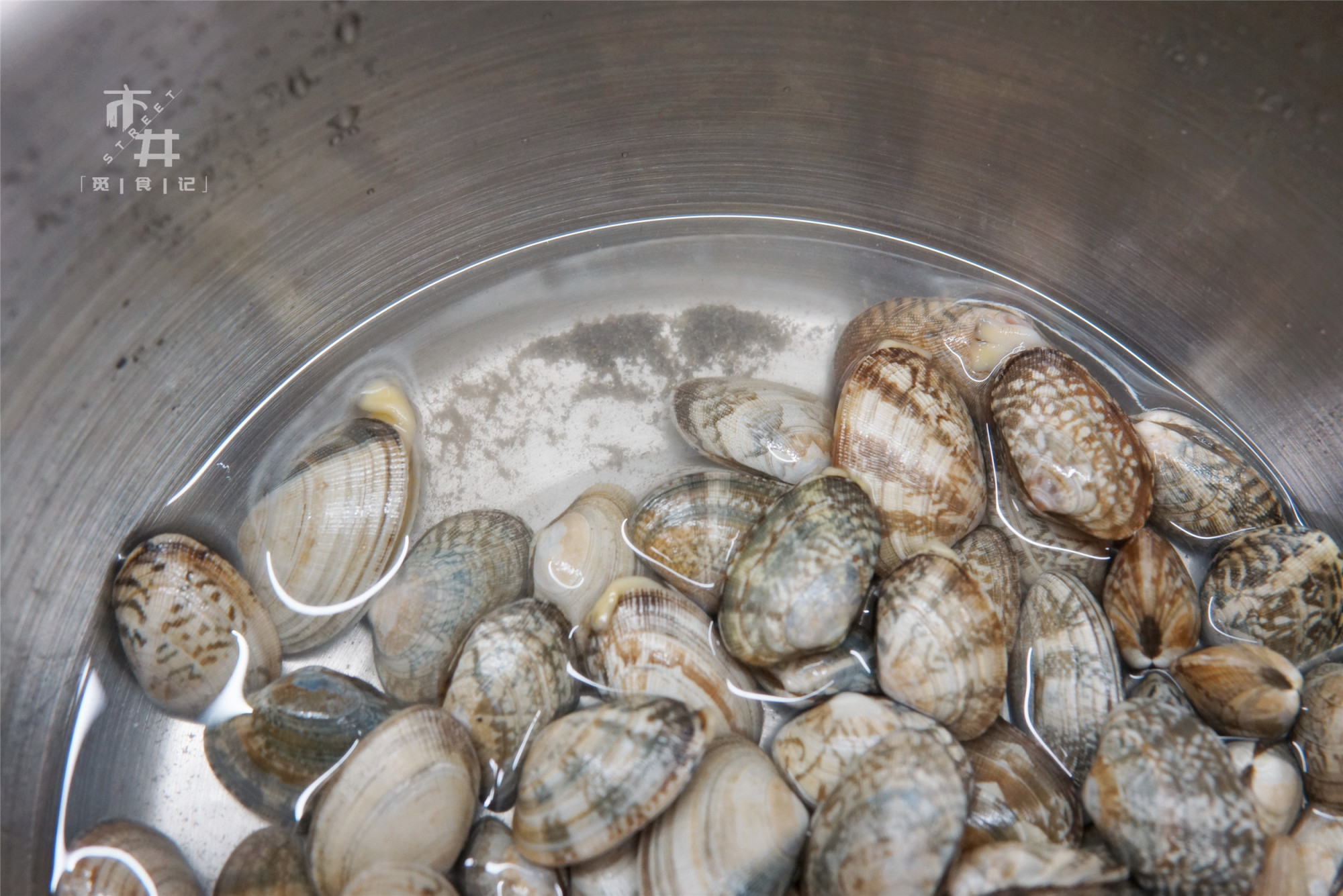 花甲吐沙,海边人教的好方法,不用盐不用油,十几分钟乖乖吐干净