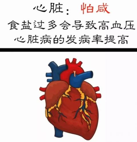 心肝肺脾肾胃最怕什么?在这些事儿上不节制可能会出大