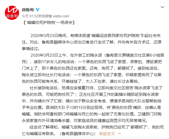 【推荐】蝙蝠闯进居民家咬死狗狗？这次真的背锅了