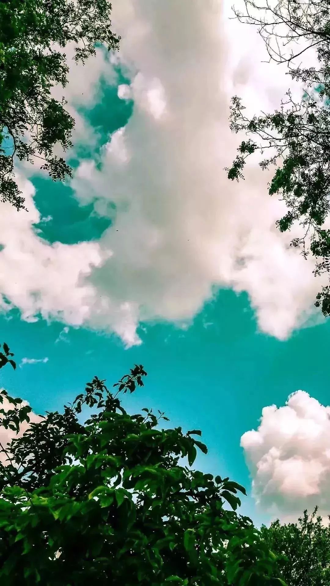 这波壁纸会撩人~抖音300w点赞壁纸