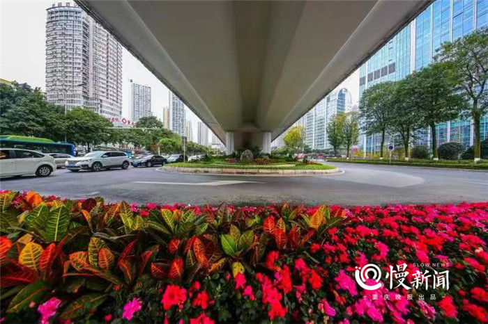 渝北新牌坊转盘新添花境式微景观 立交桥下阴暗地有了新绿意