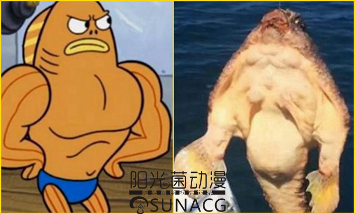 《海绵宝宝》里的这三种设定"非常现实"!章鱼哥真香!