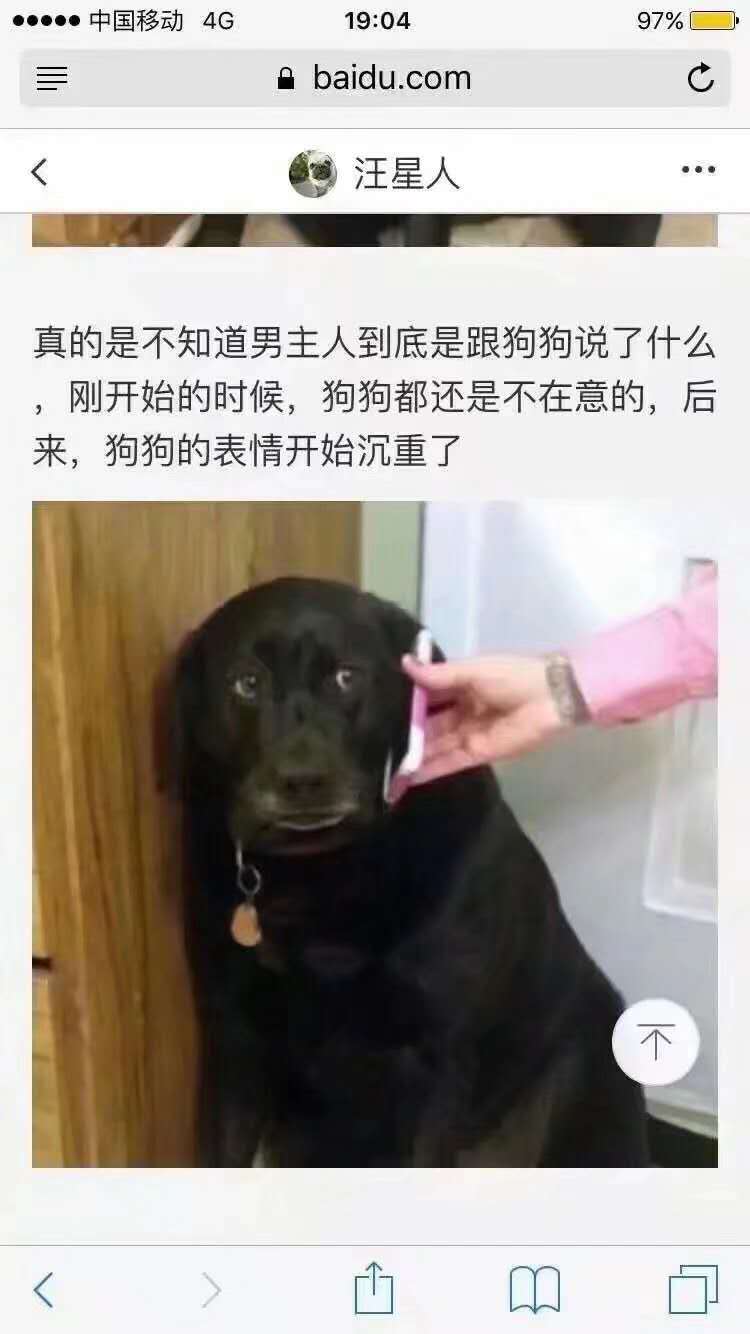 搞笑:让人笑出内伤的搞笑图片哈哈哈