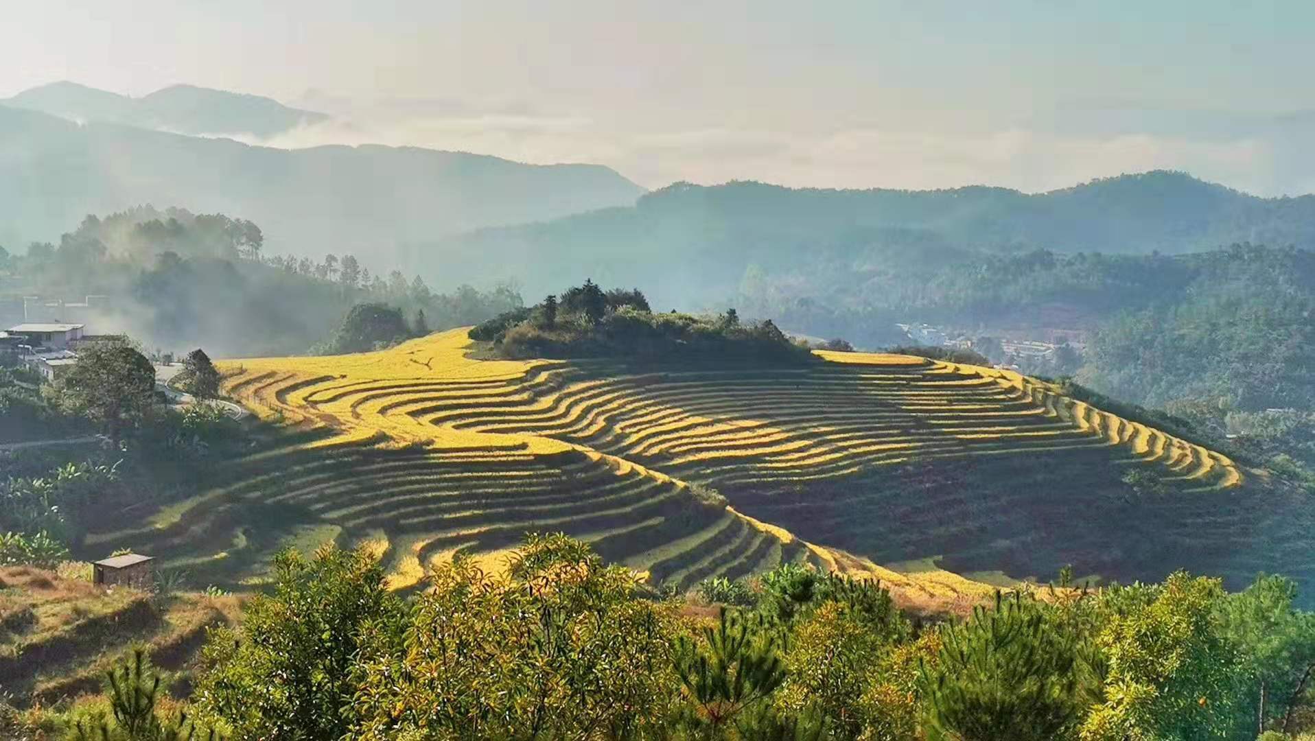 坪山梯田,源於元末明初,完工於清初,存世百年,堪稱傳奇