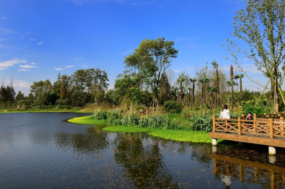 這片3000畝的溼地公園,有成都