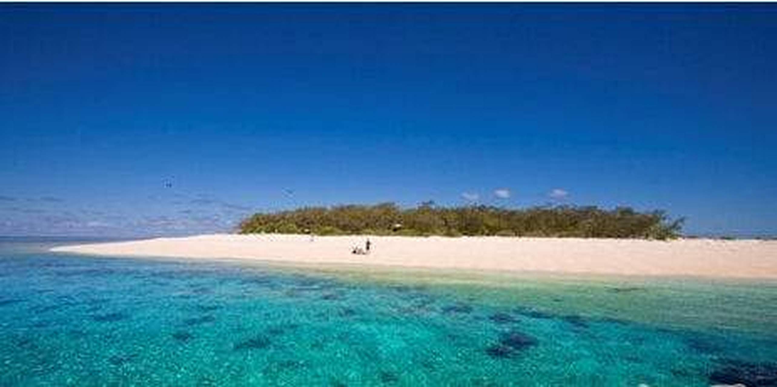 云游最光荣##爱上世界的100种方式#塞拉尔沃岛位于墨西哥下部沿岸