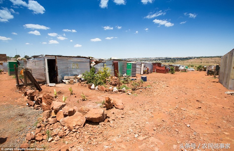 在南非这些白人过得比黑人还穷