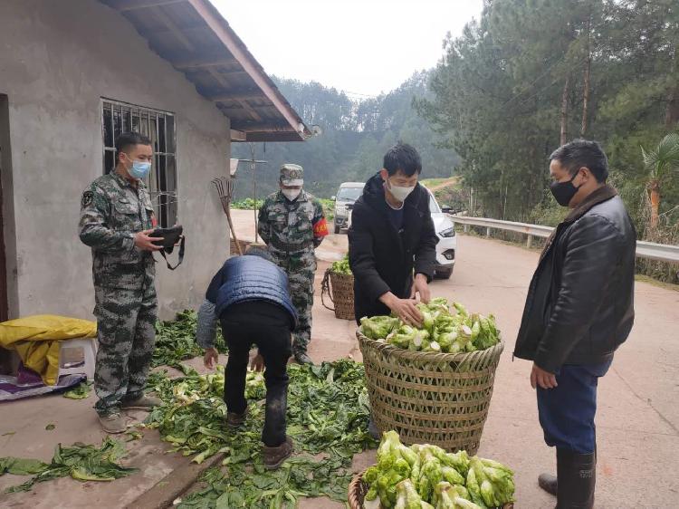 茨竹镇图片