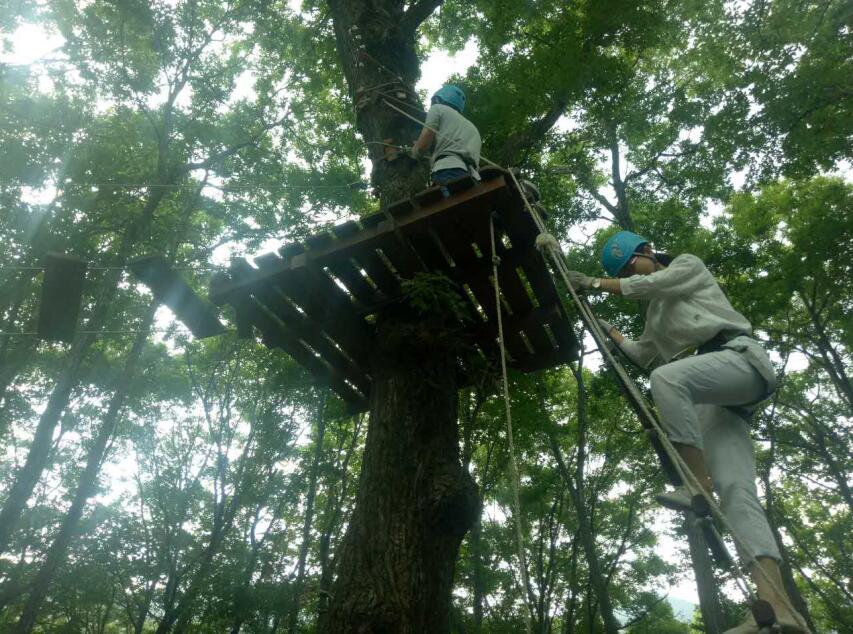 李旭斌:本焕长老与慈恩寺的因缘(随州大洪山传说)