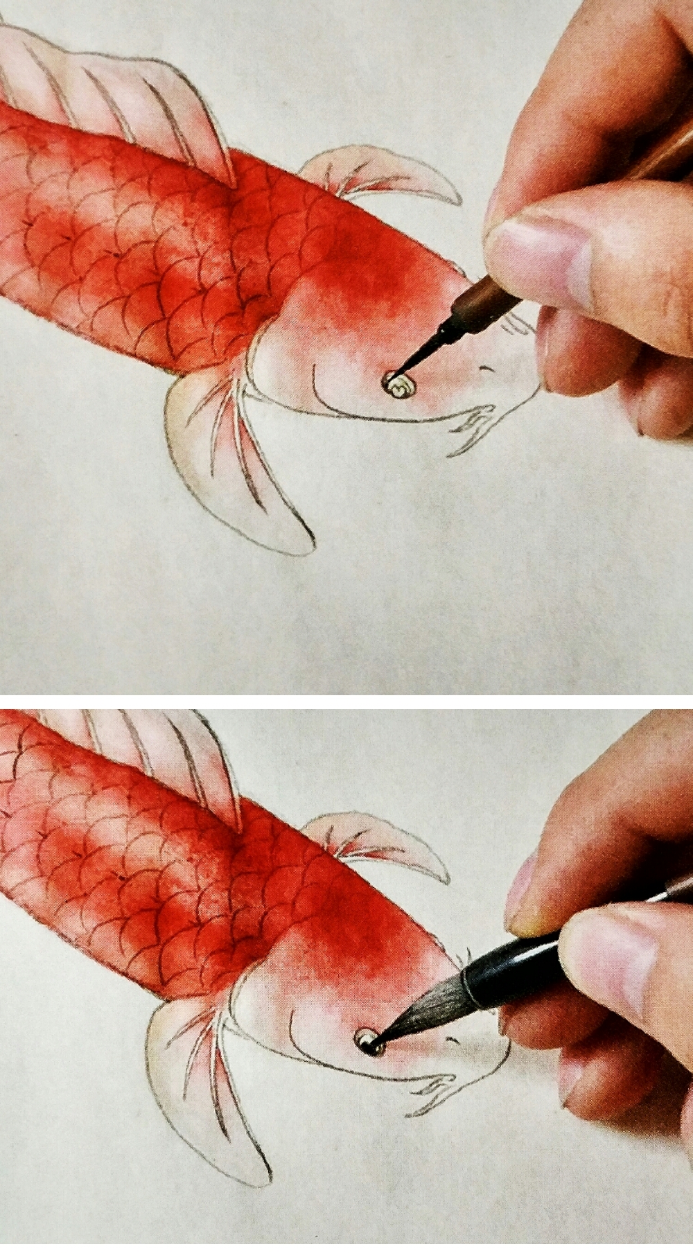 红鲤鱼的画法与技巧图片