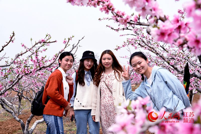 督公湖桃花节图片