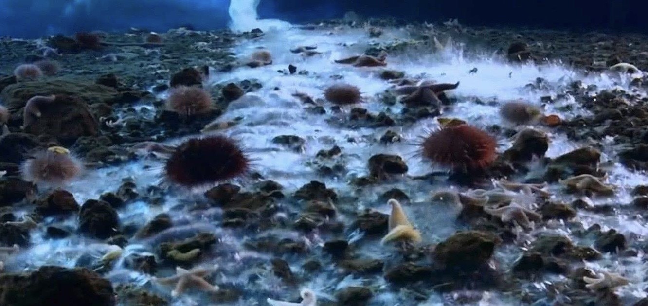 南极现死亡冰柱,大量生物死亡,科学家猜测其是生命出现的契机