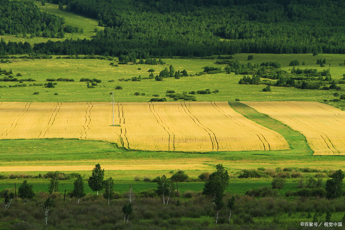 收割后的田野,幸福着