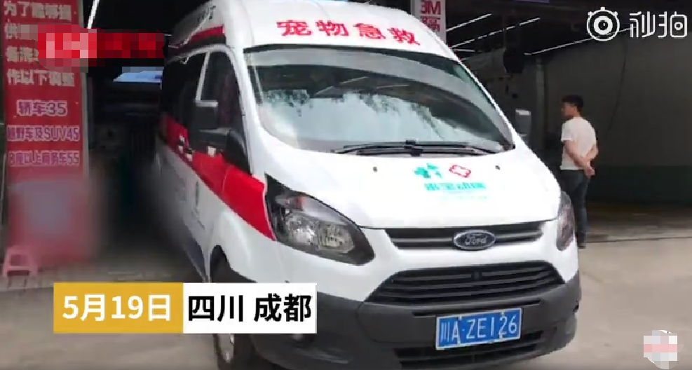 "宠物救护车"现身街头,可在车内进行急诊手术!