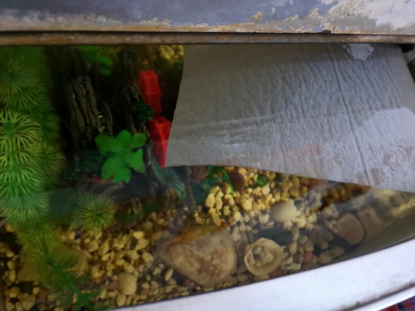 鱼缸除油膜 - 2020年最新商品信息聚合专区 - 百度爱采购