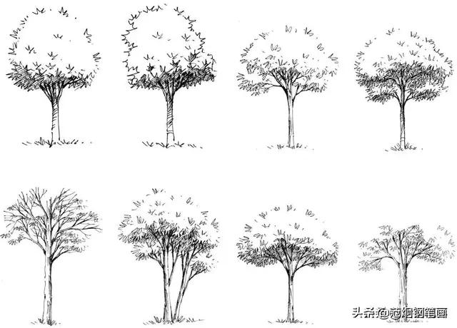 范炯钢笔画 百家号01-3111:05 本文由百家号作者上传并发布,百家号仅