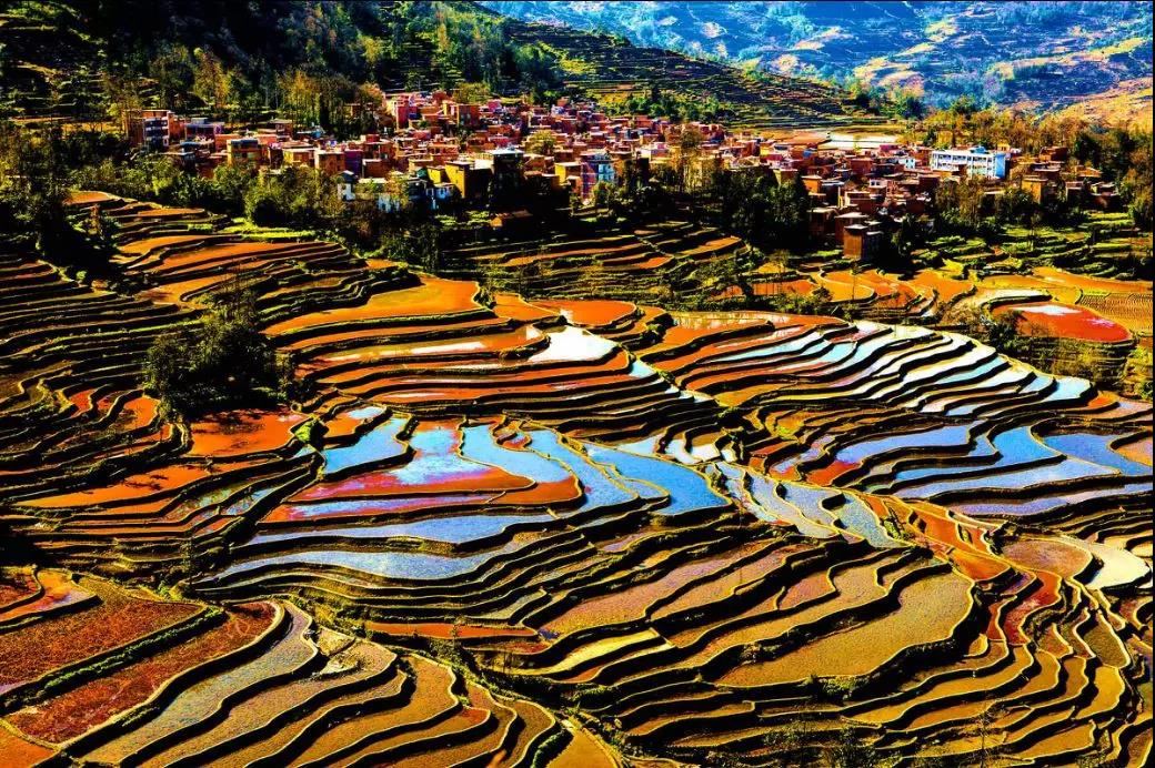 中国最美的秋天藏在梯田间