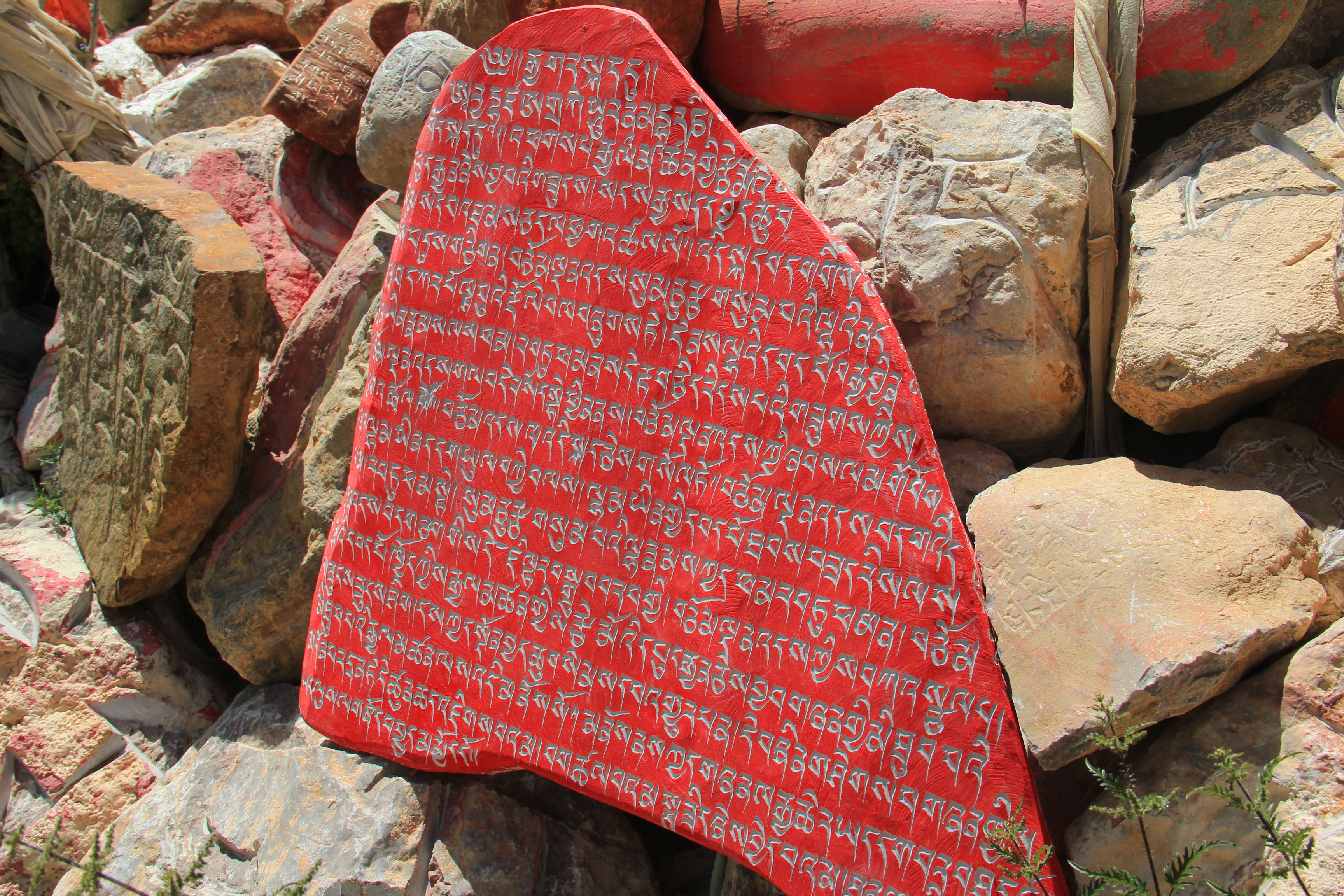 红色舍字藏文图片