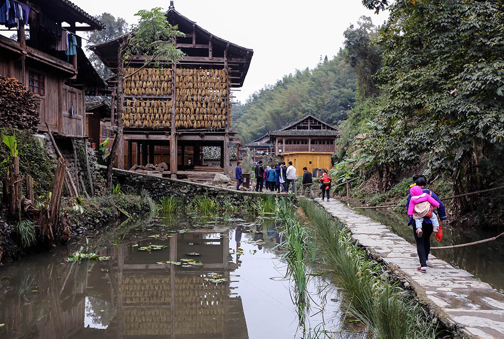 贵州最"淳朴"的古寨,400株古楠木树环绕,至今未被商业化
