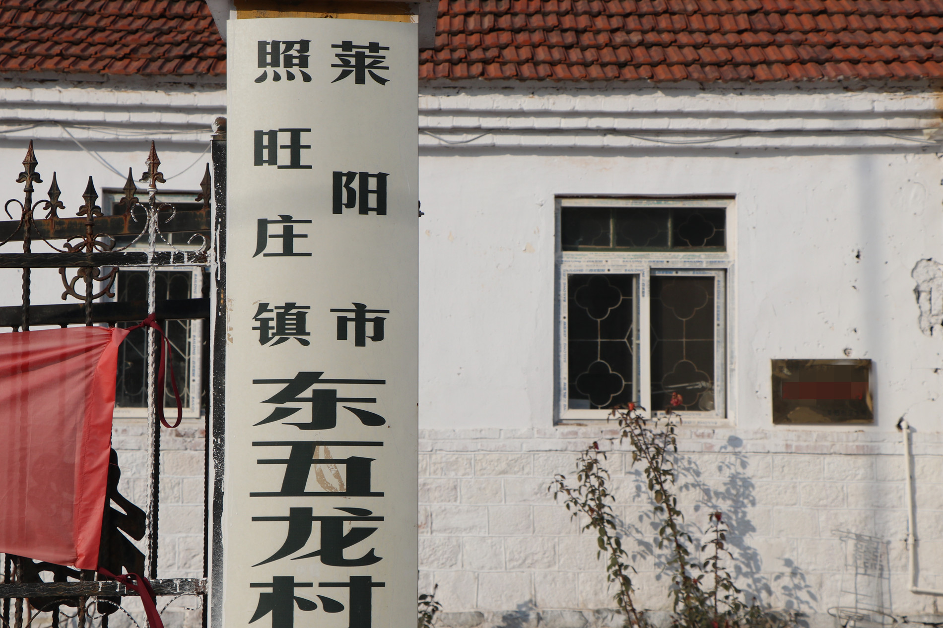 组图:烟台莱阳一棵古槐的影像,在照旺庄镇东五龙村