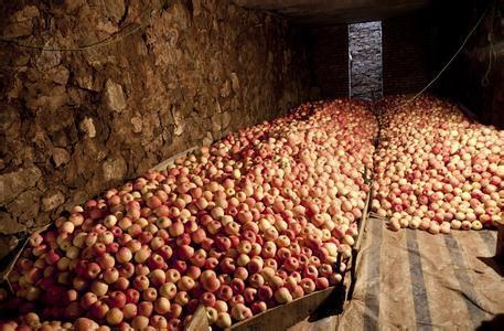 农村的地窖是啥?很多城里孩子都没见过