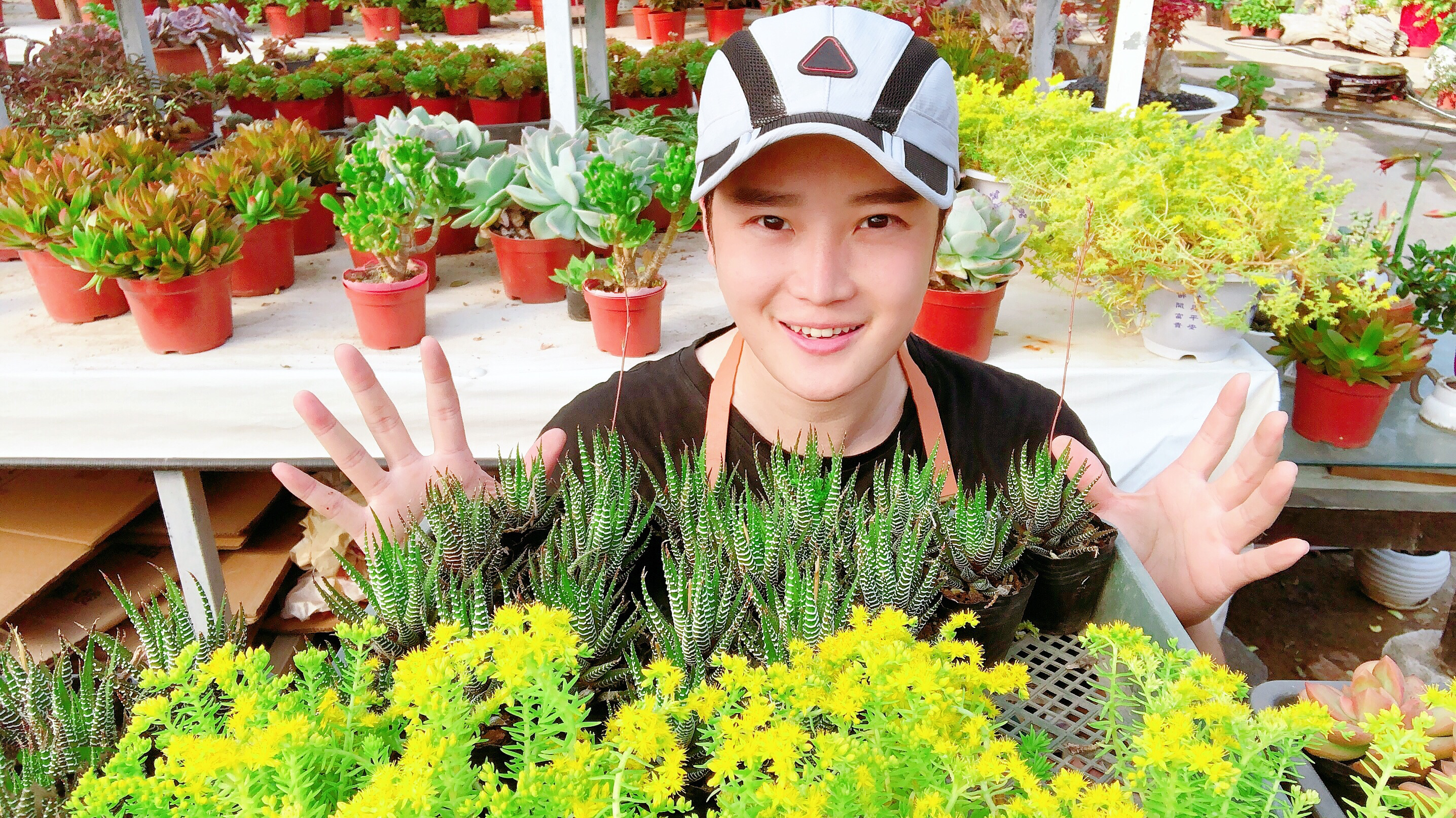 多肉达人带你欣赏8款肉肉开出的花!保证你全都没见过!