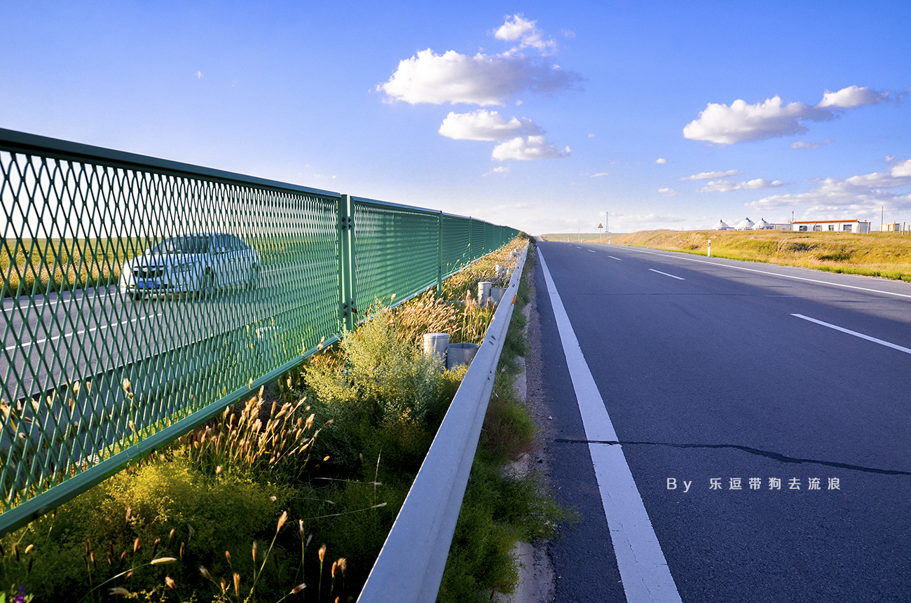 9月的乌海界,前往沙漠前意外地发现了温暖的金黄色!
